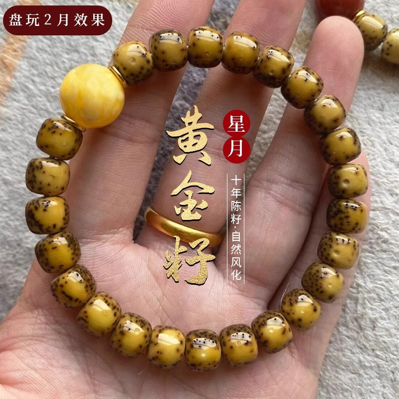 High Density Golden Seed Star  - Bracelet Beaded Men 评论和价格